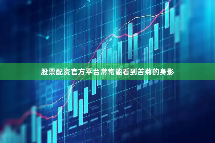 股票配资官方平台常常能看到苦菊的身影